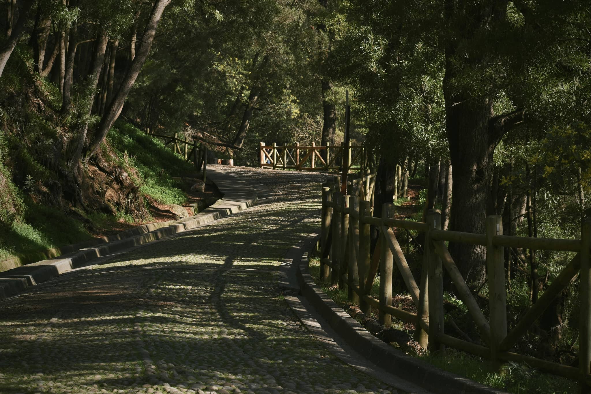 Scenic Walking Trails