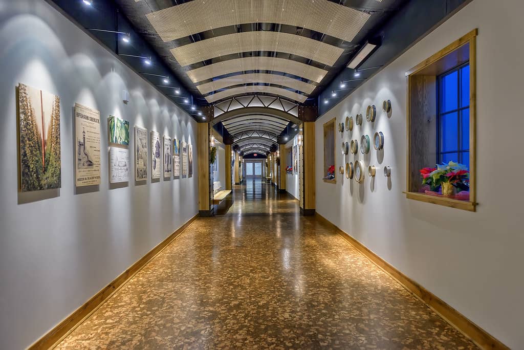 The 'Still the One' Tour