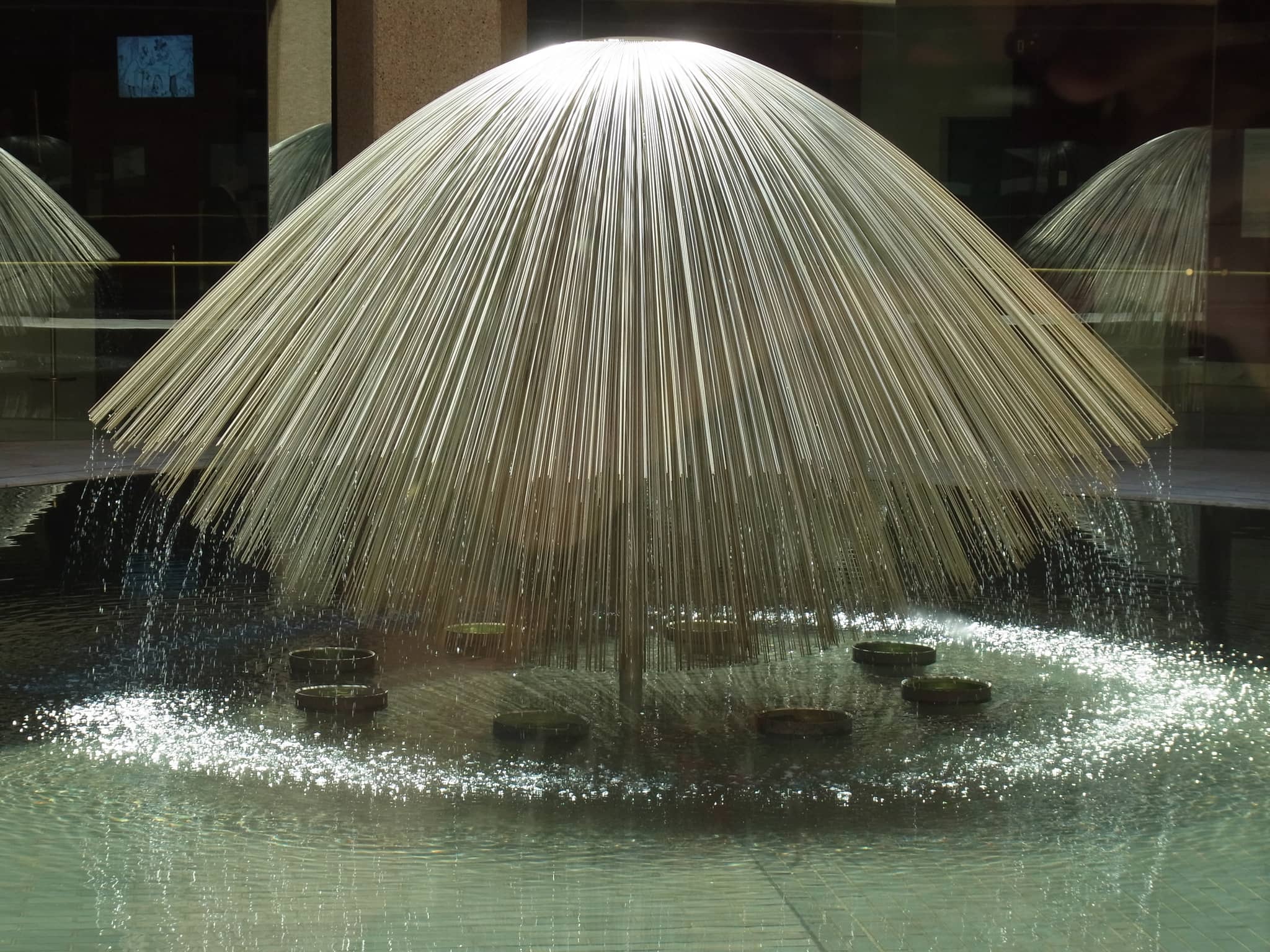 Art Exhibitions