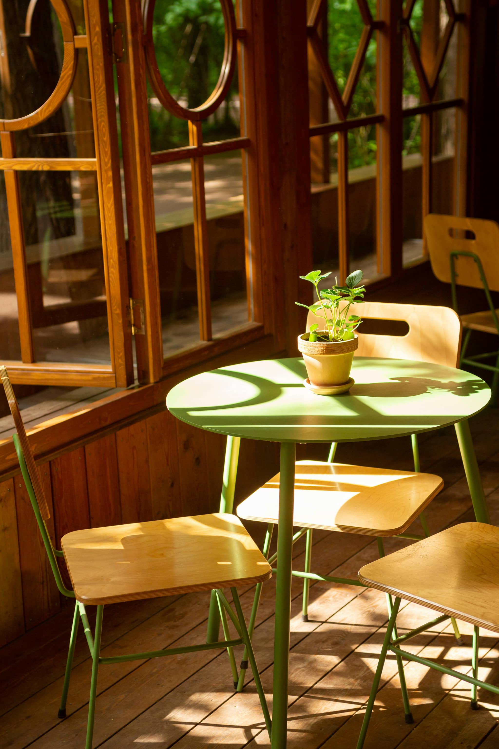 Friendly Cafe Atmosphere