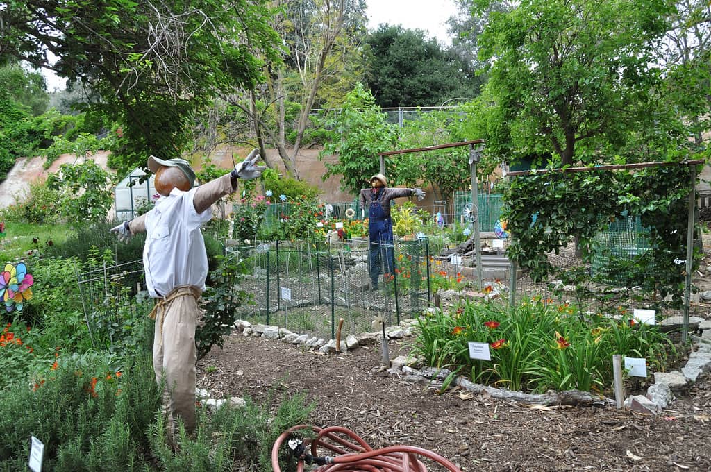 Lush Botanical Gardens