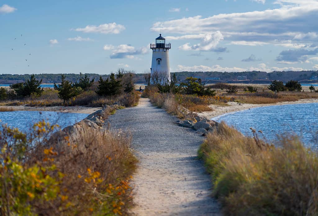 Edgartown Harbor