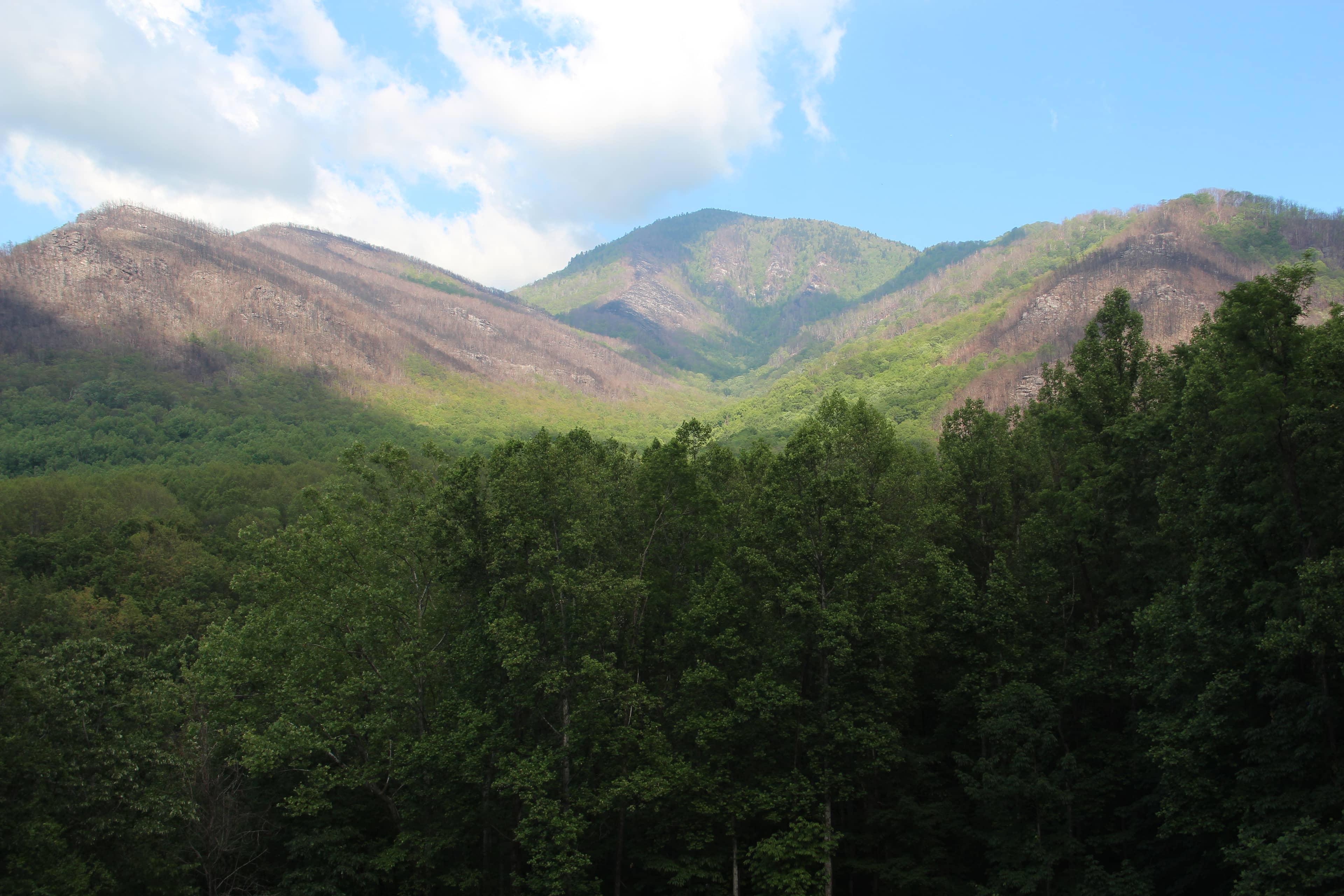 Roadside Picnic Spot