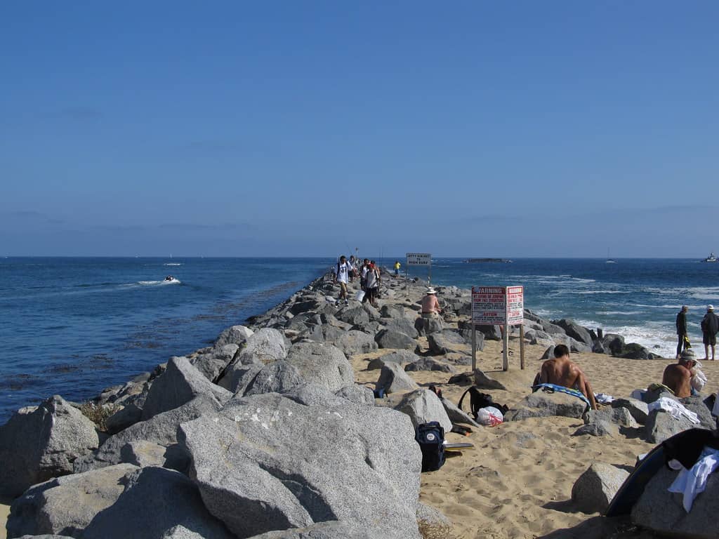 Beachcombing Adventures