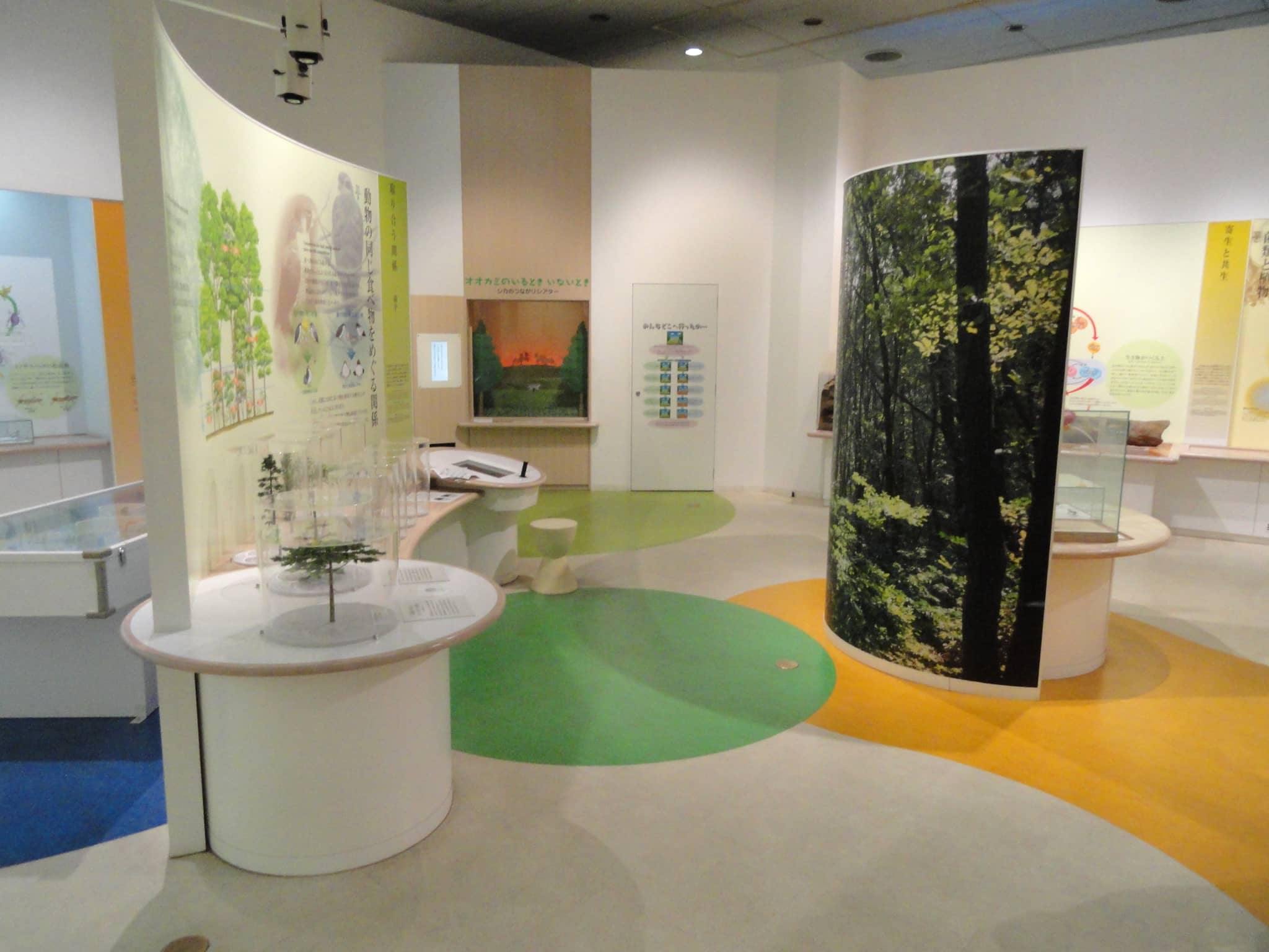 Osaka Museum of Natural History