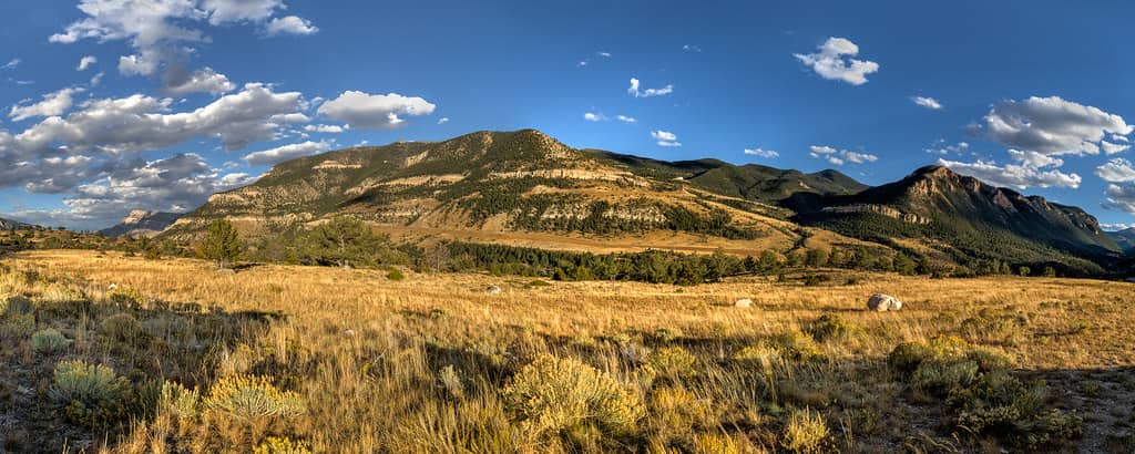 Nez Perce Trail History