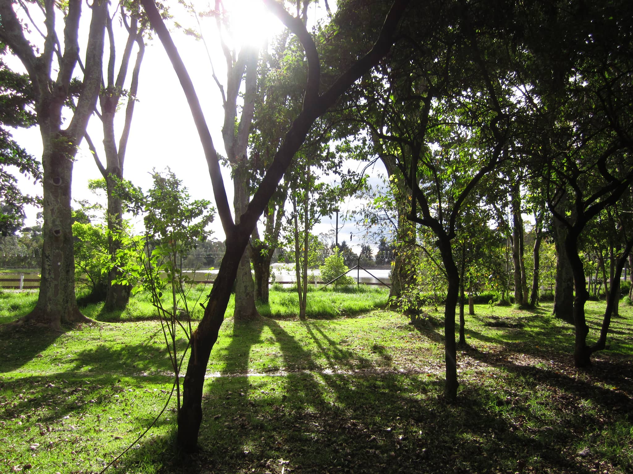Escape the City Buzz
