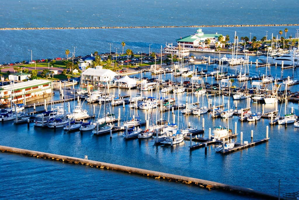 Local Art Galleries & Studios