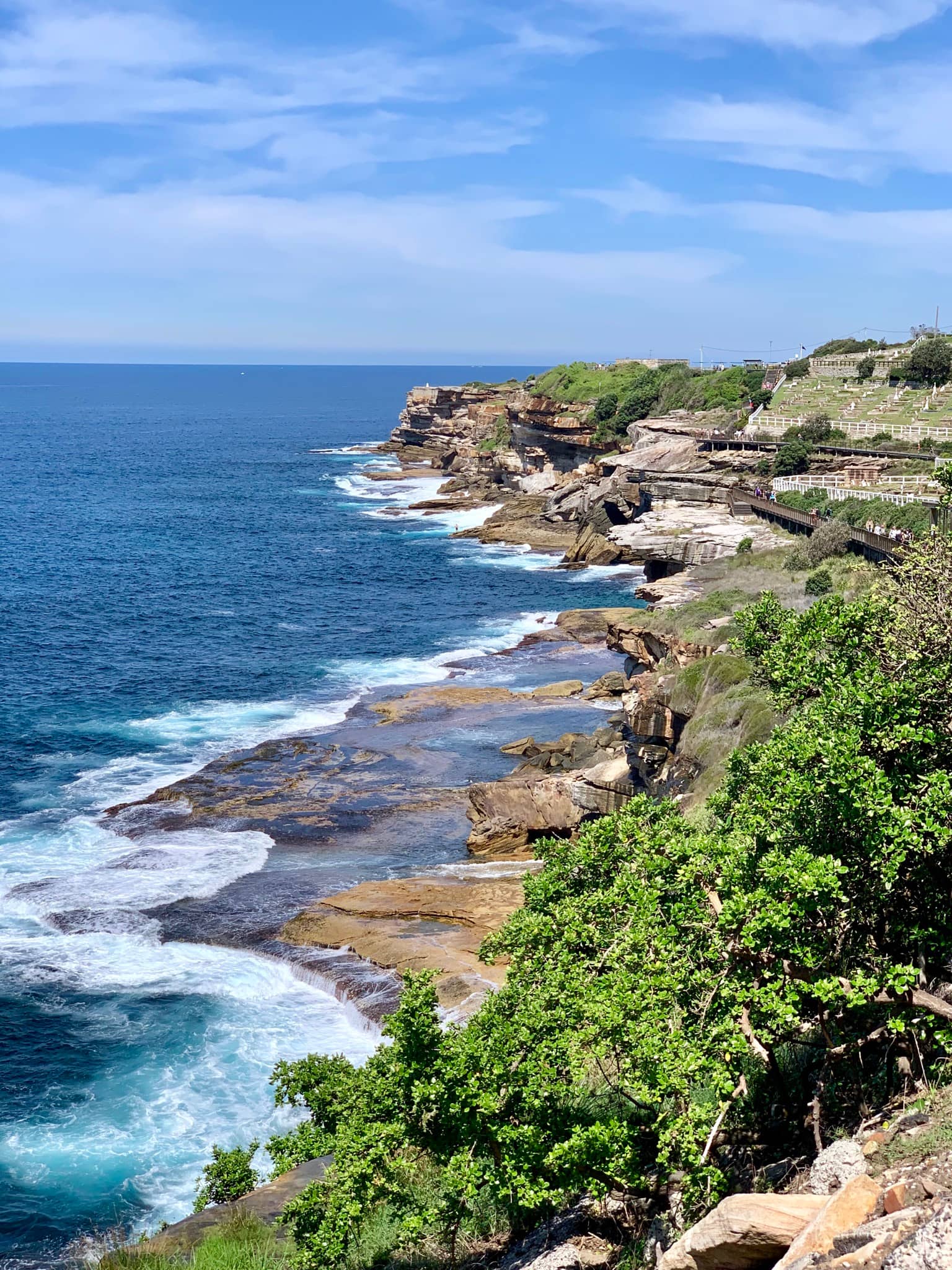 Bondi to Coogee Coastal Walk