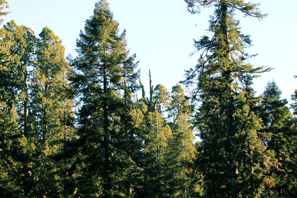 General Creek