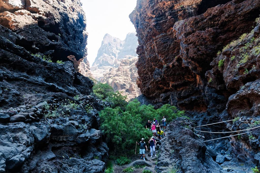 Scenic Hiking Trails