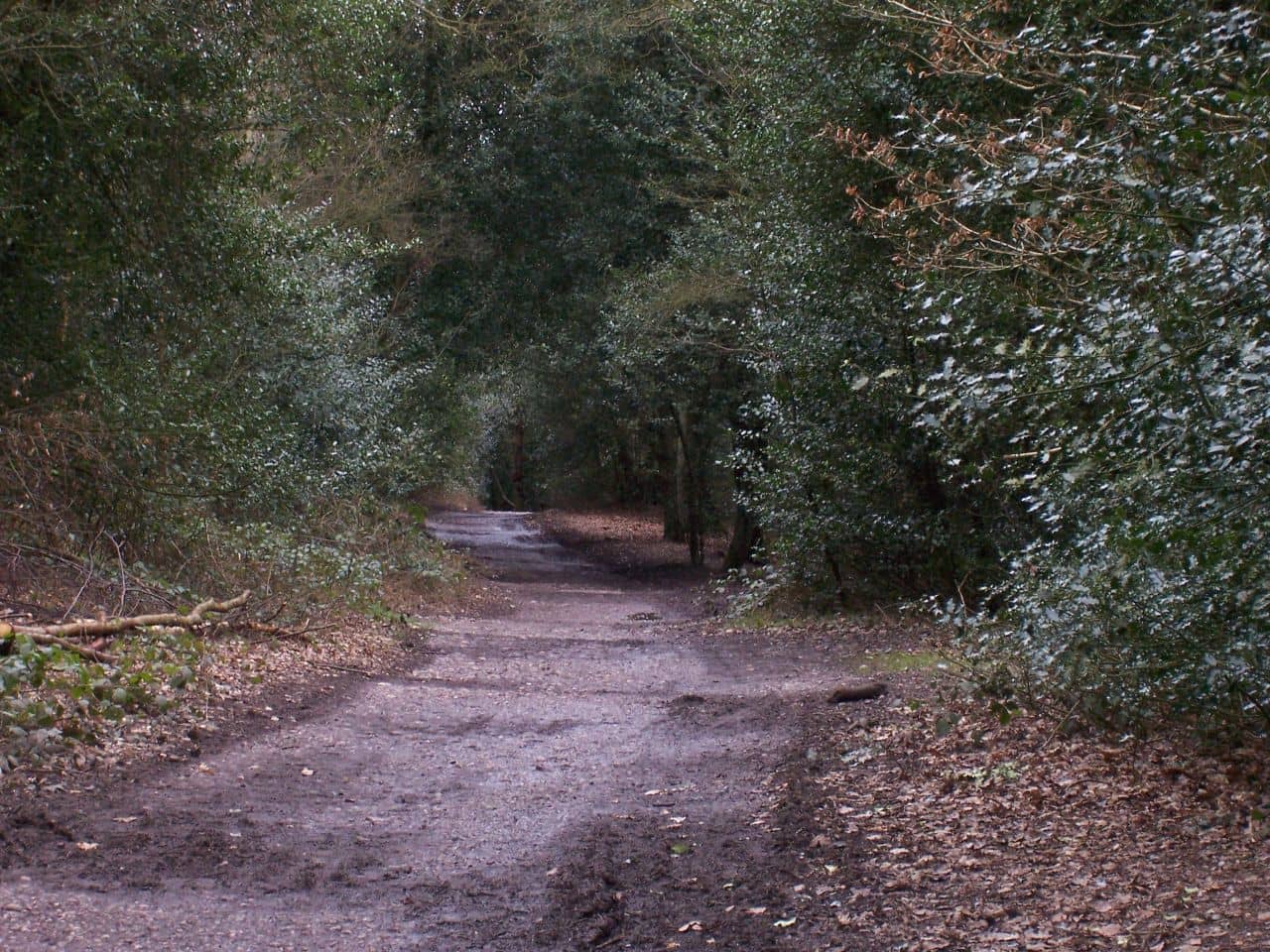 Nature Reserve Trails