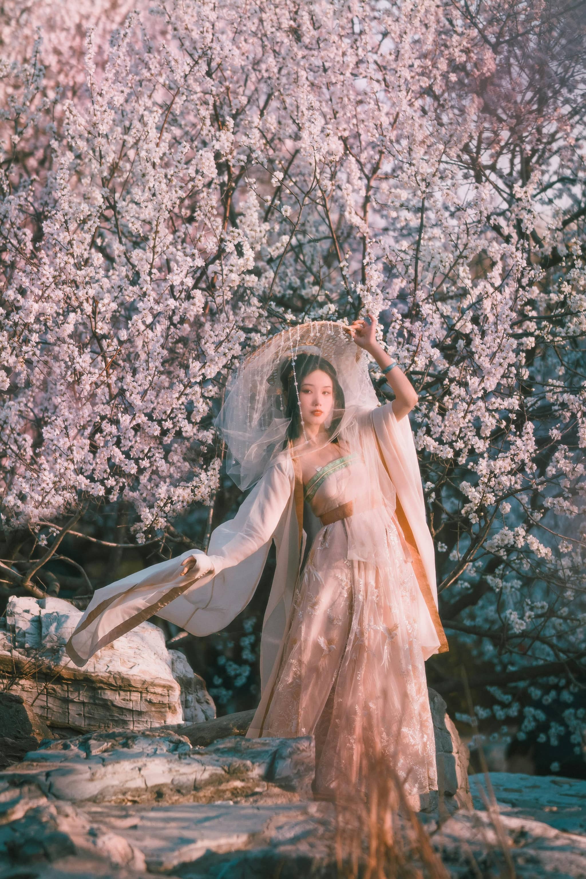 Hanfu Photoshoot