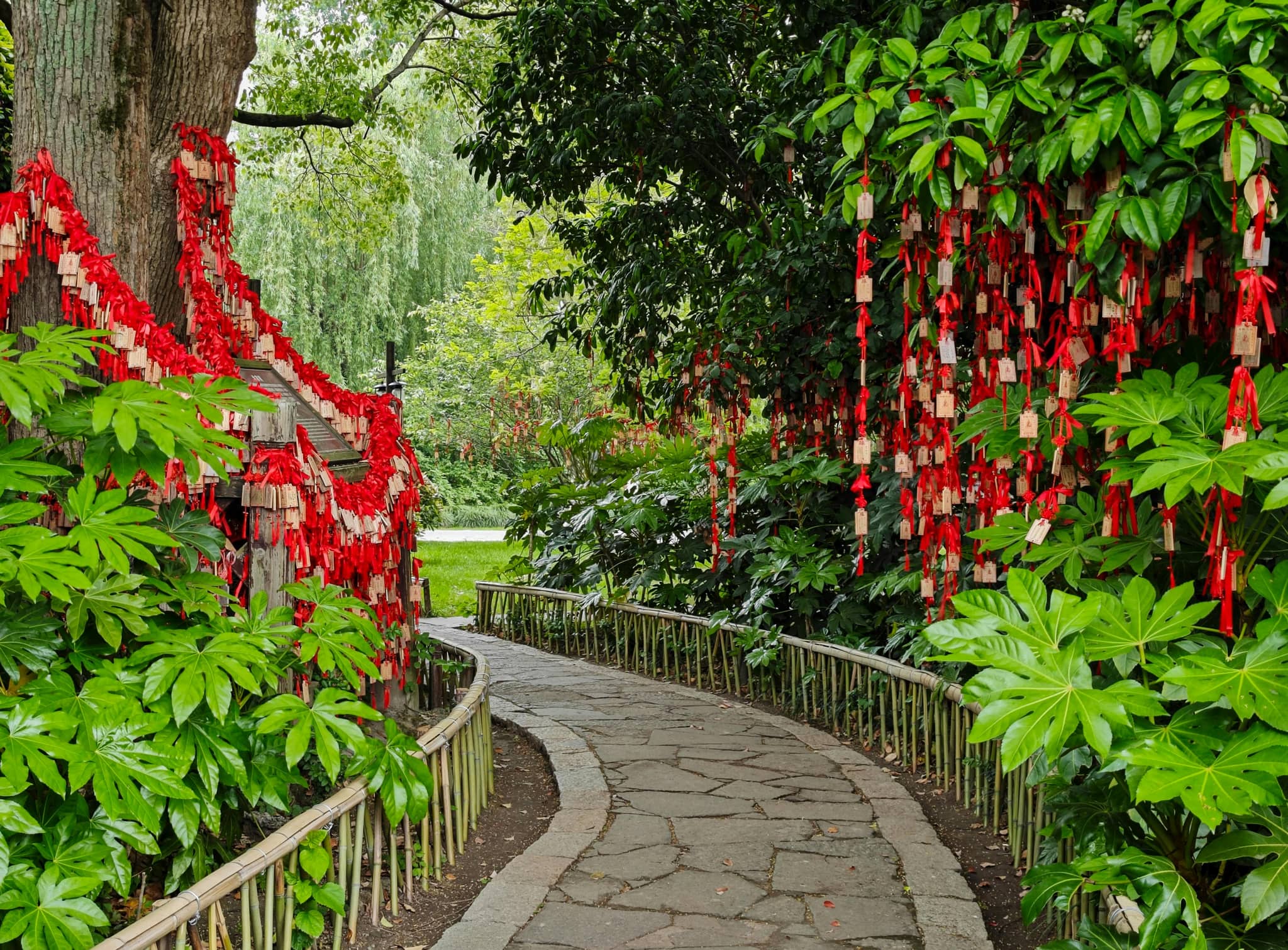 Expansive Pathways