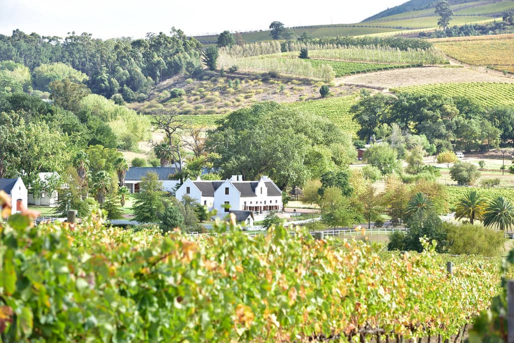 Constantia Wine Route