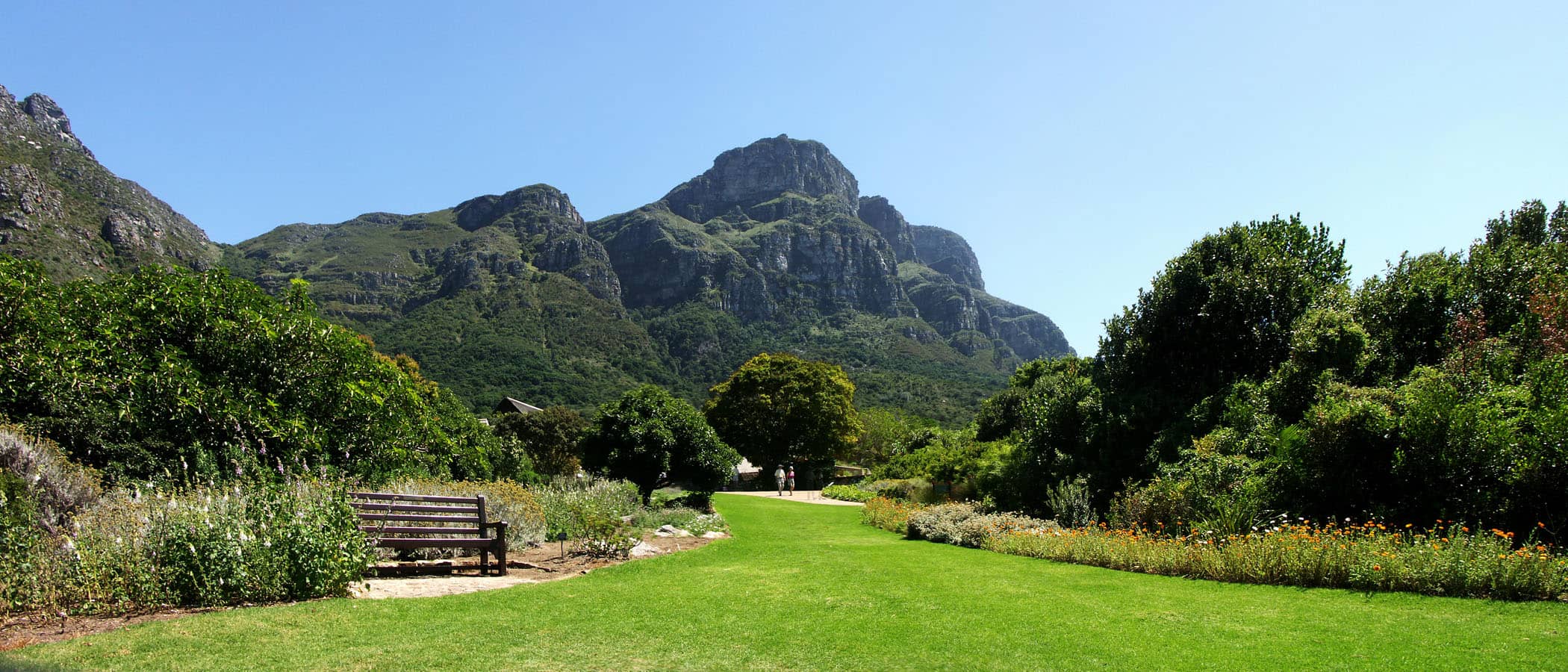 Kirstenbosch Botanical Garden