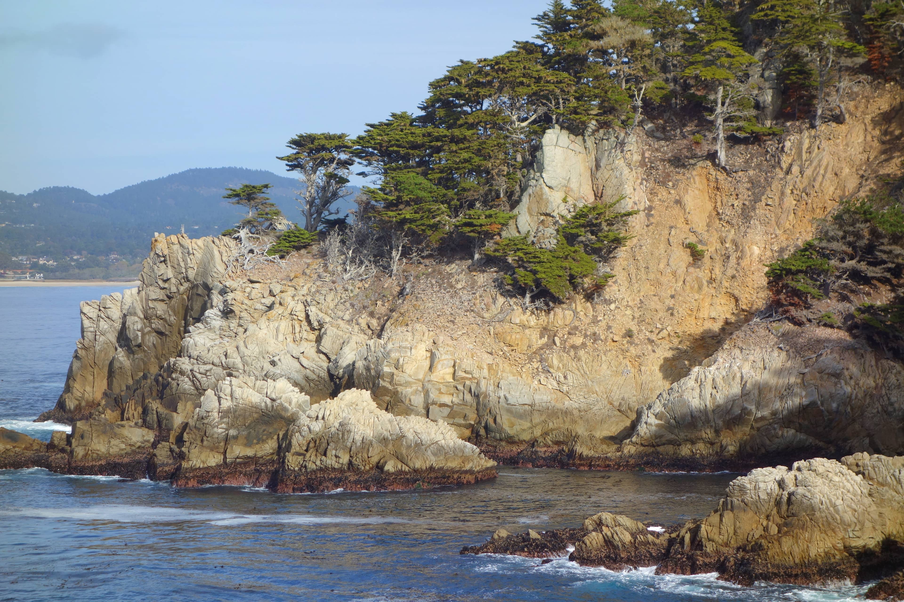 Point Lobos State Natural Reserve