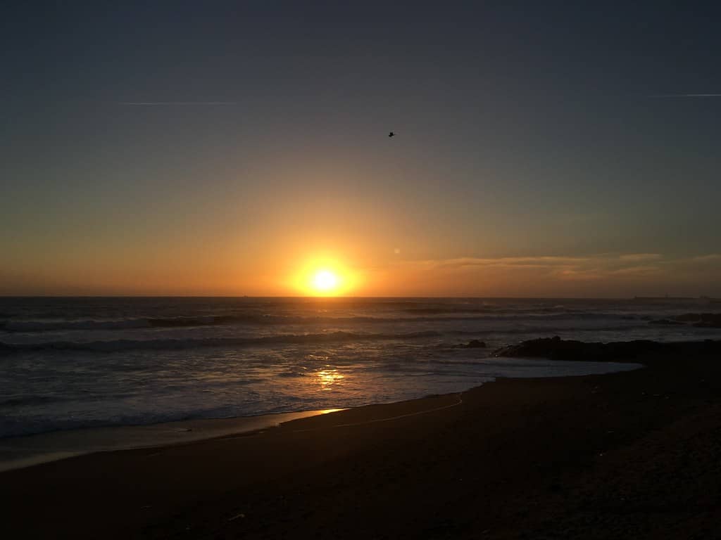 Golden Hour Magic