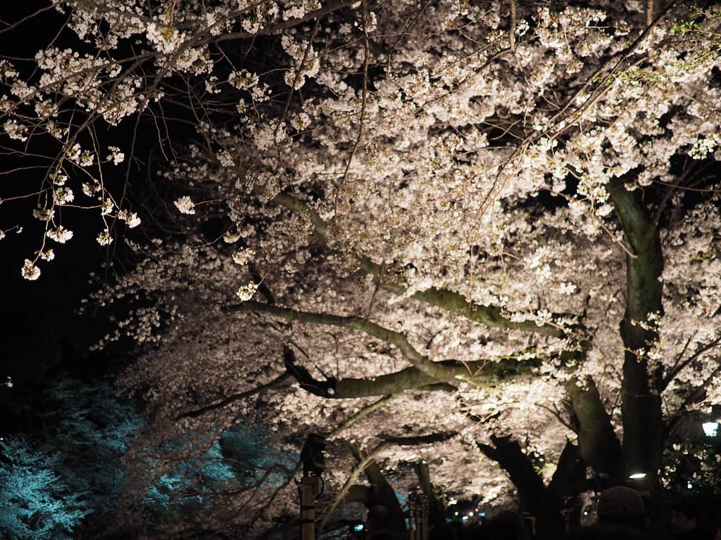 Nighttime Illumination