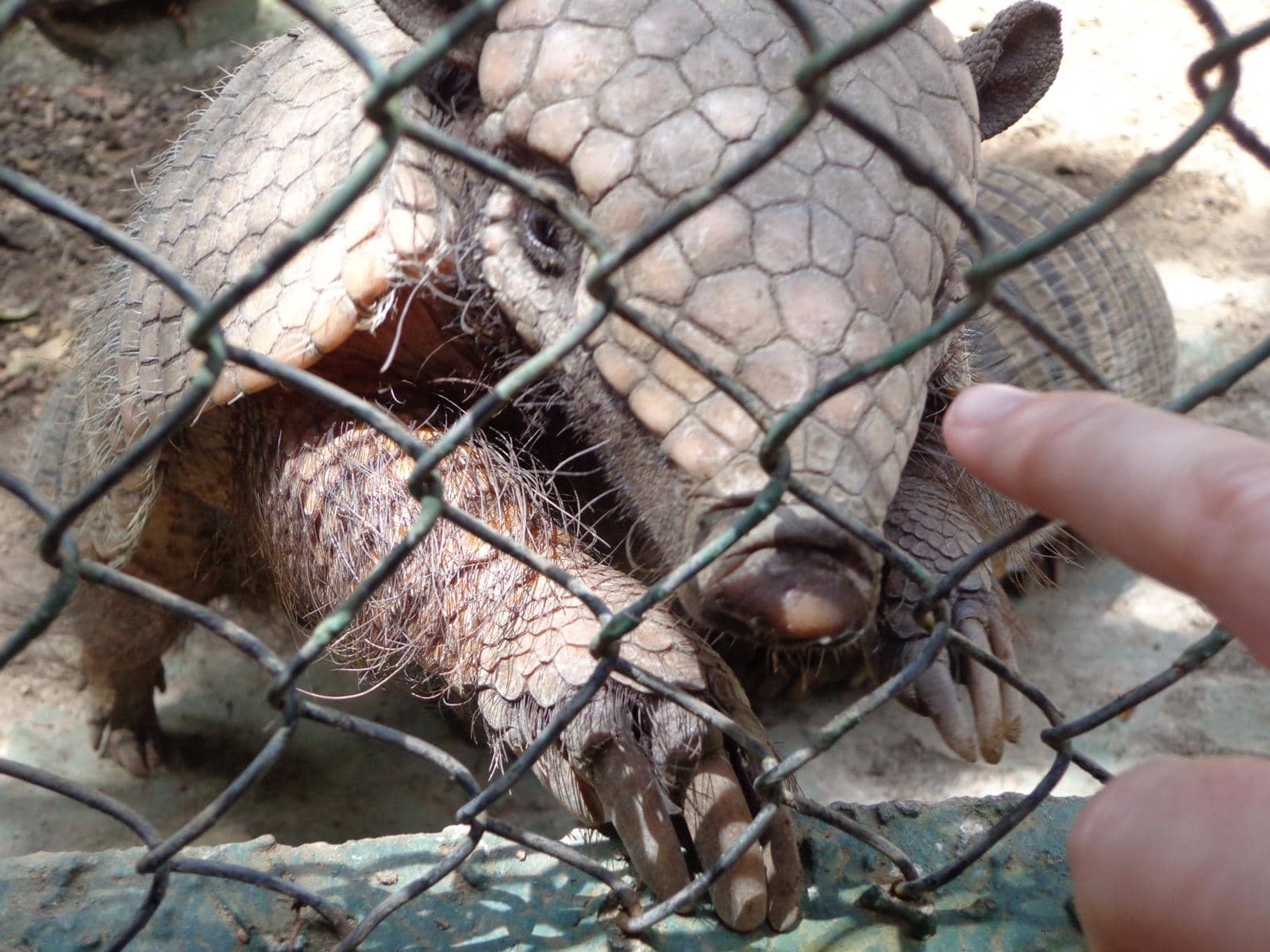 Wildlife Reserve Exploration