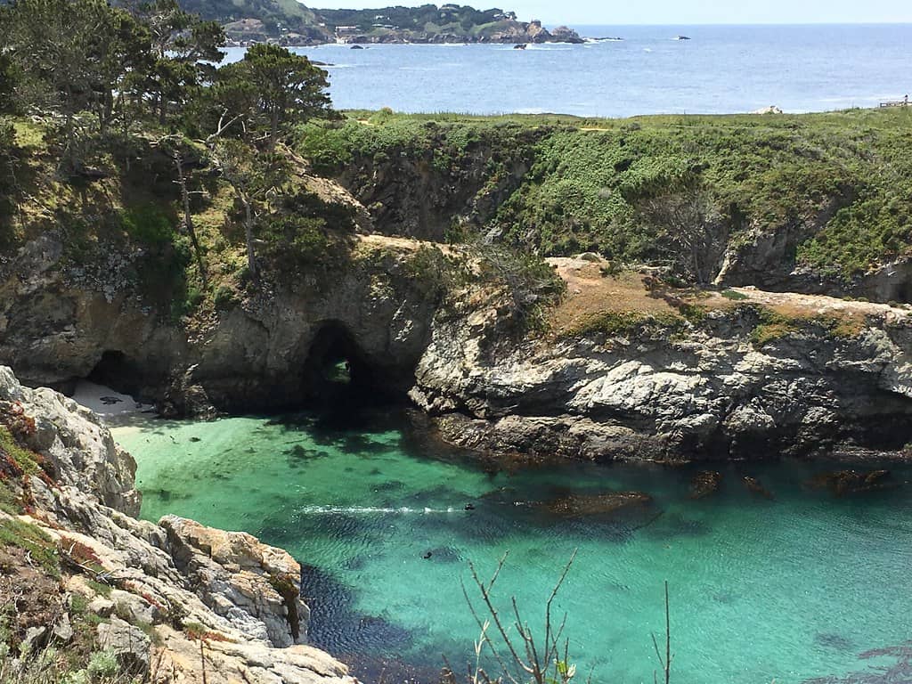 Point Lobos State Natural Reserve