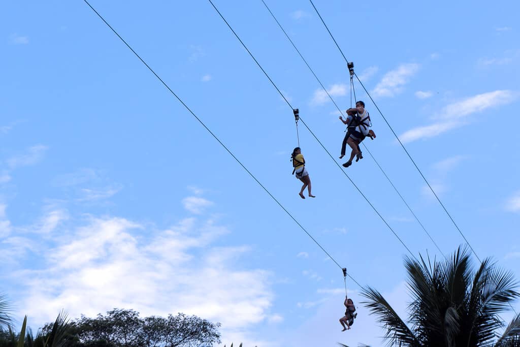 Zip Line Adventure