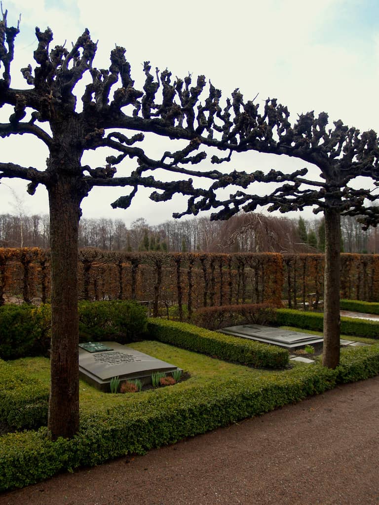 Expansive Green Spaces