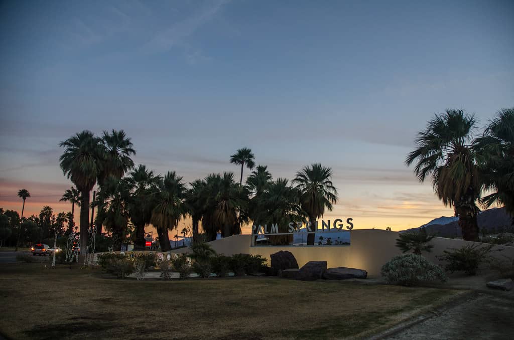 Tranquil Desert Oasis