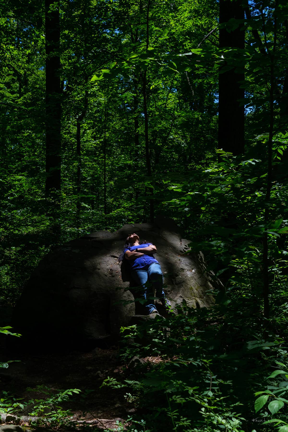 Winding Woodland Trails