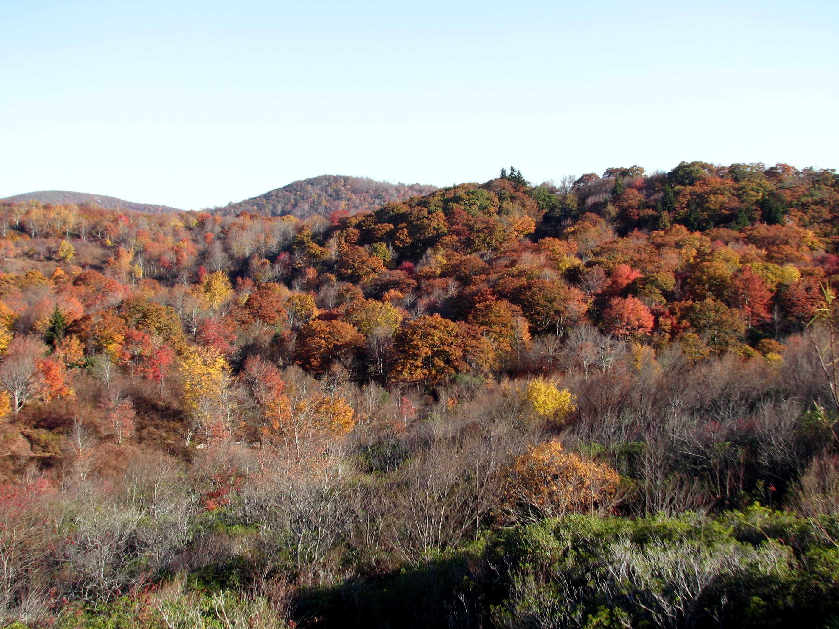 Fall Foliage Spectacle