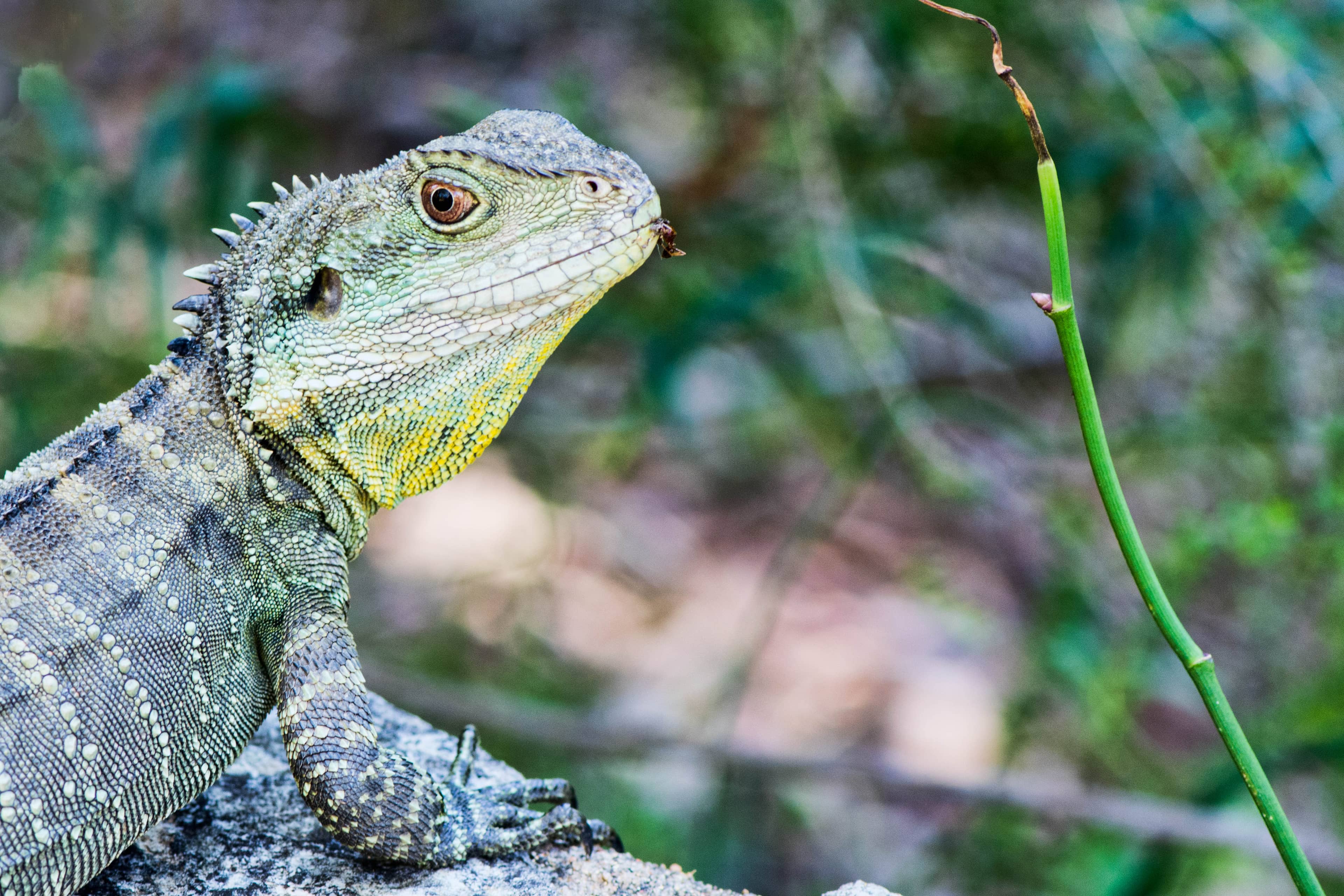 Interactive Exhibits