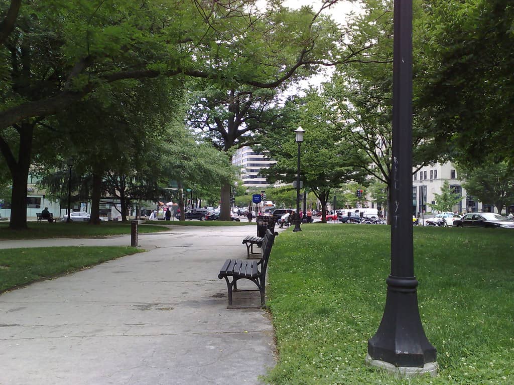 Urban Oasis & People Watching