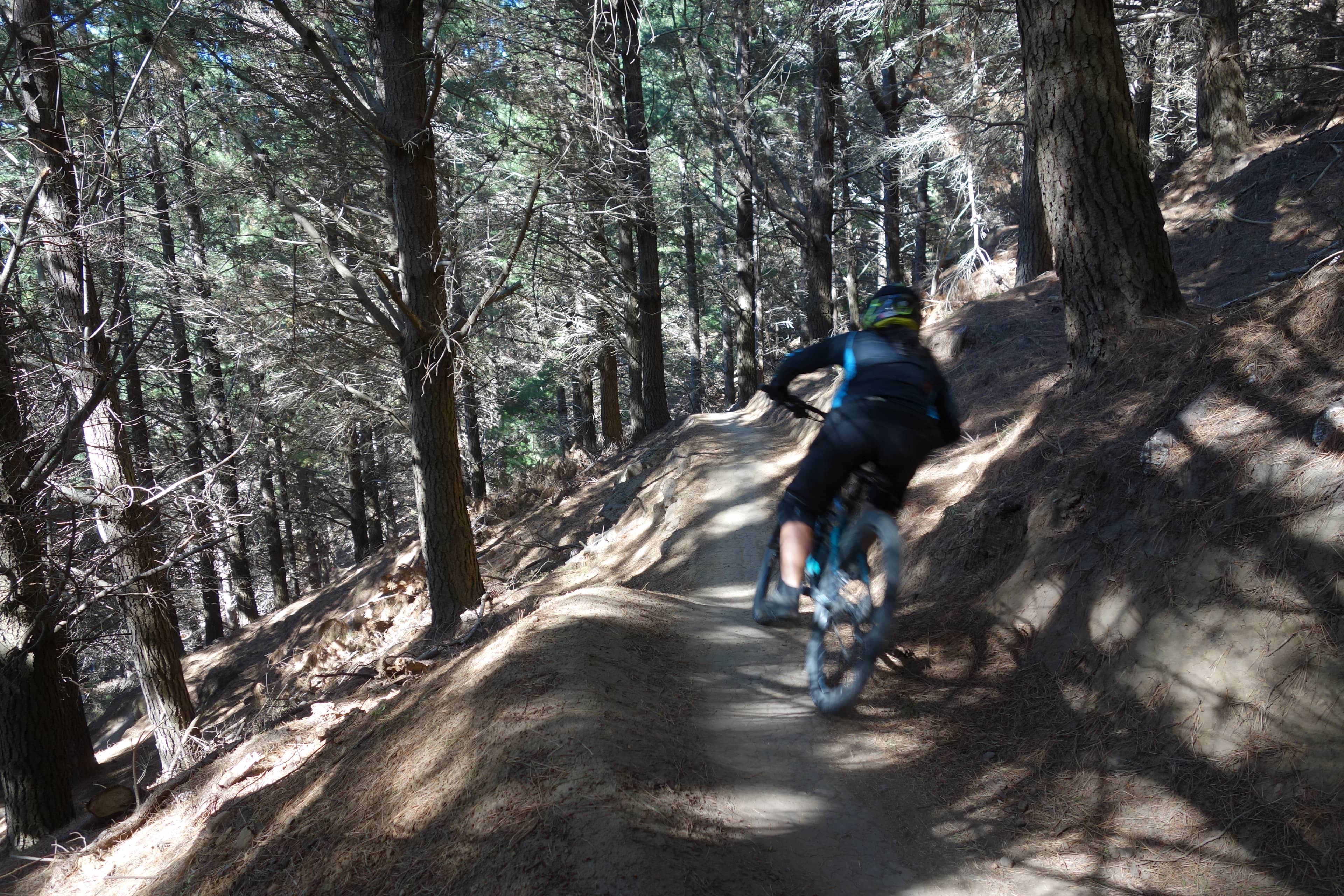 Mountain Biking Trails