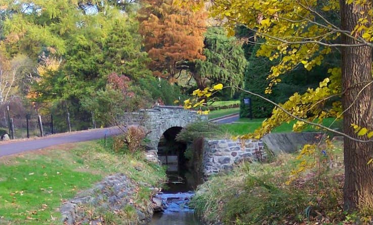 Olmsted's Architectural Gems