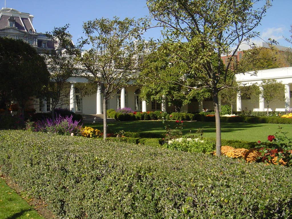 The Kennedy Garden