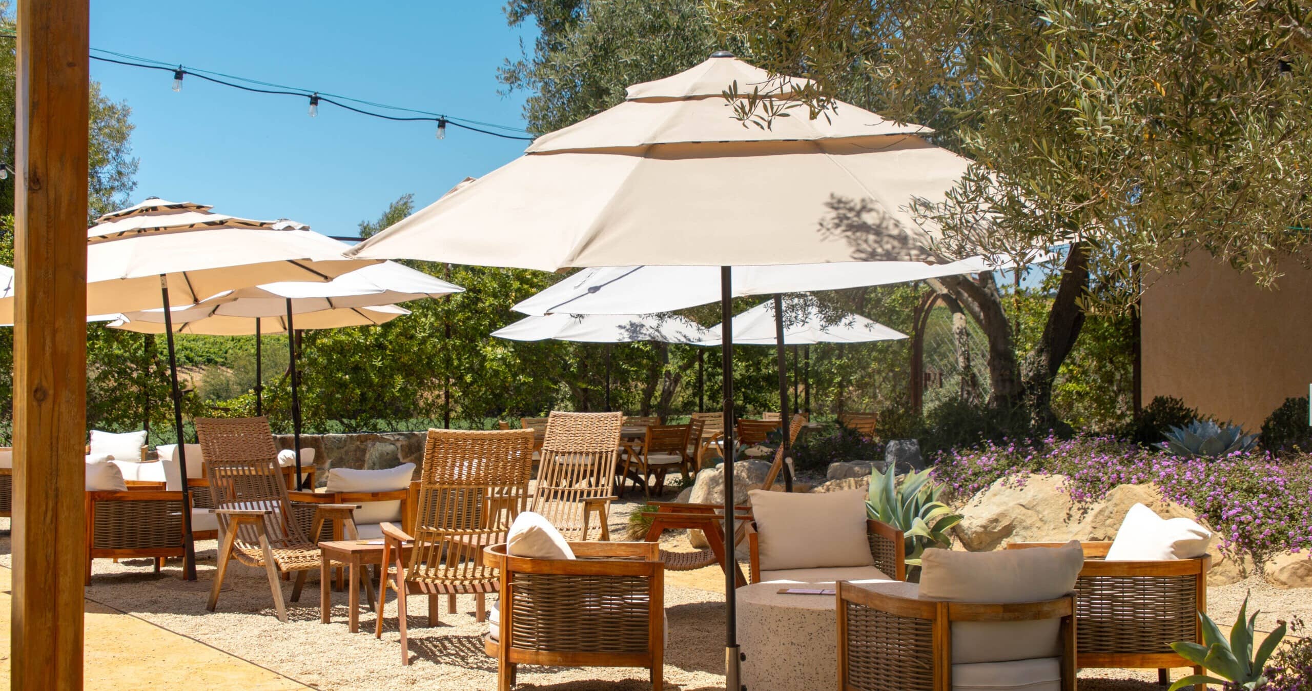 Urban Wine Tasting Rooms