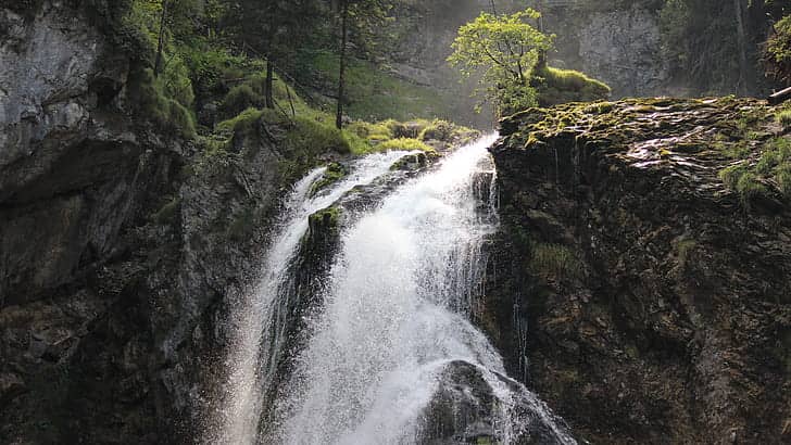 Scenic Nature Trails
