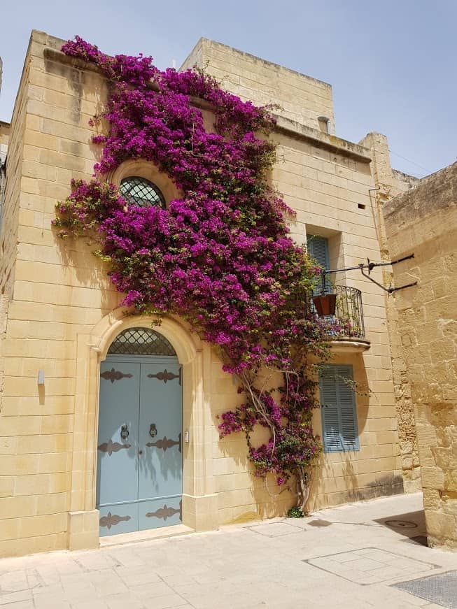 Charming Narrow Streets