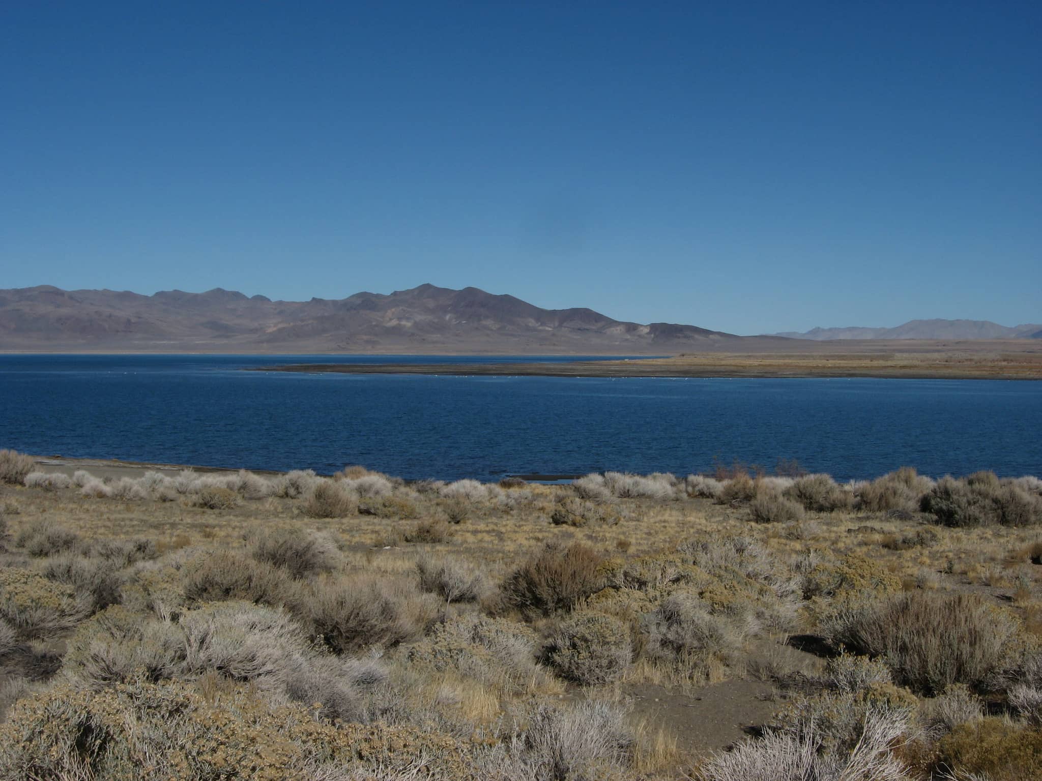 Ancient Lake Bed Views