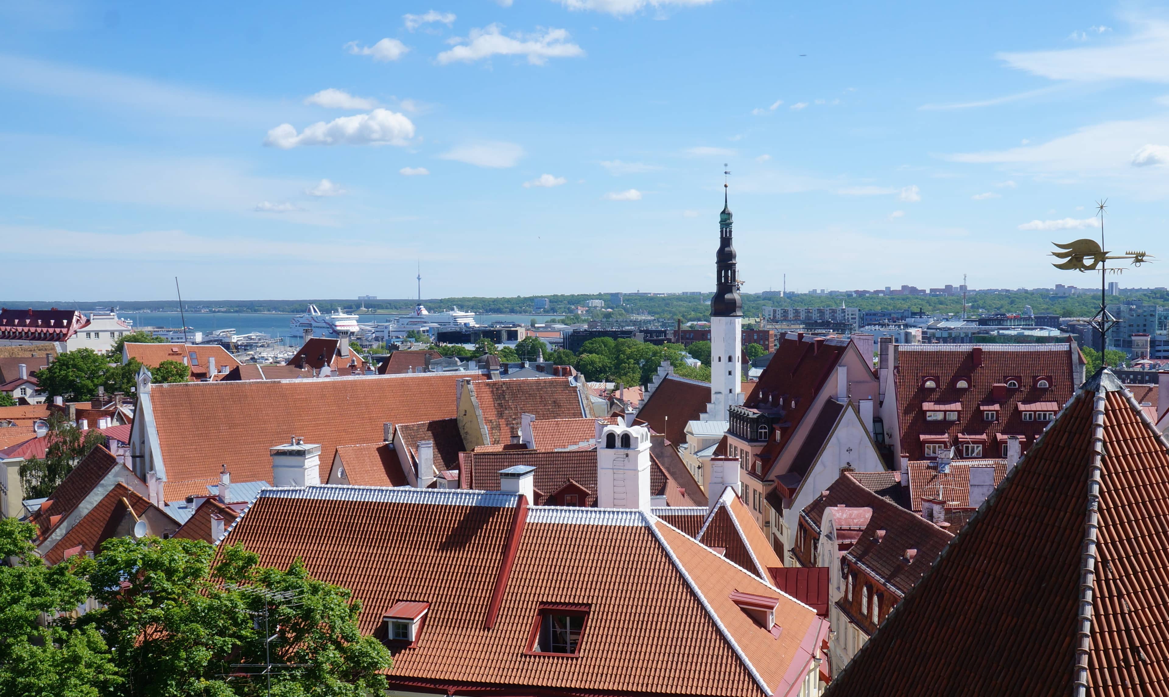 Modern Cityscape Contrast