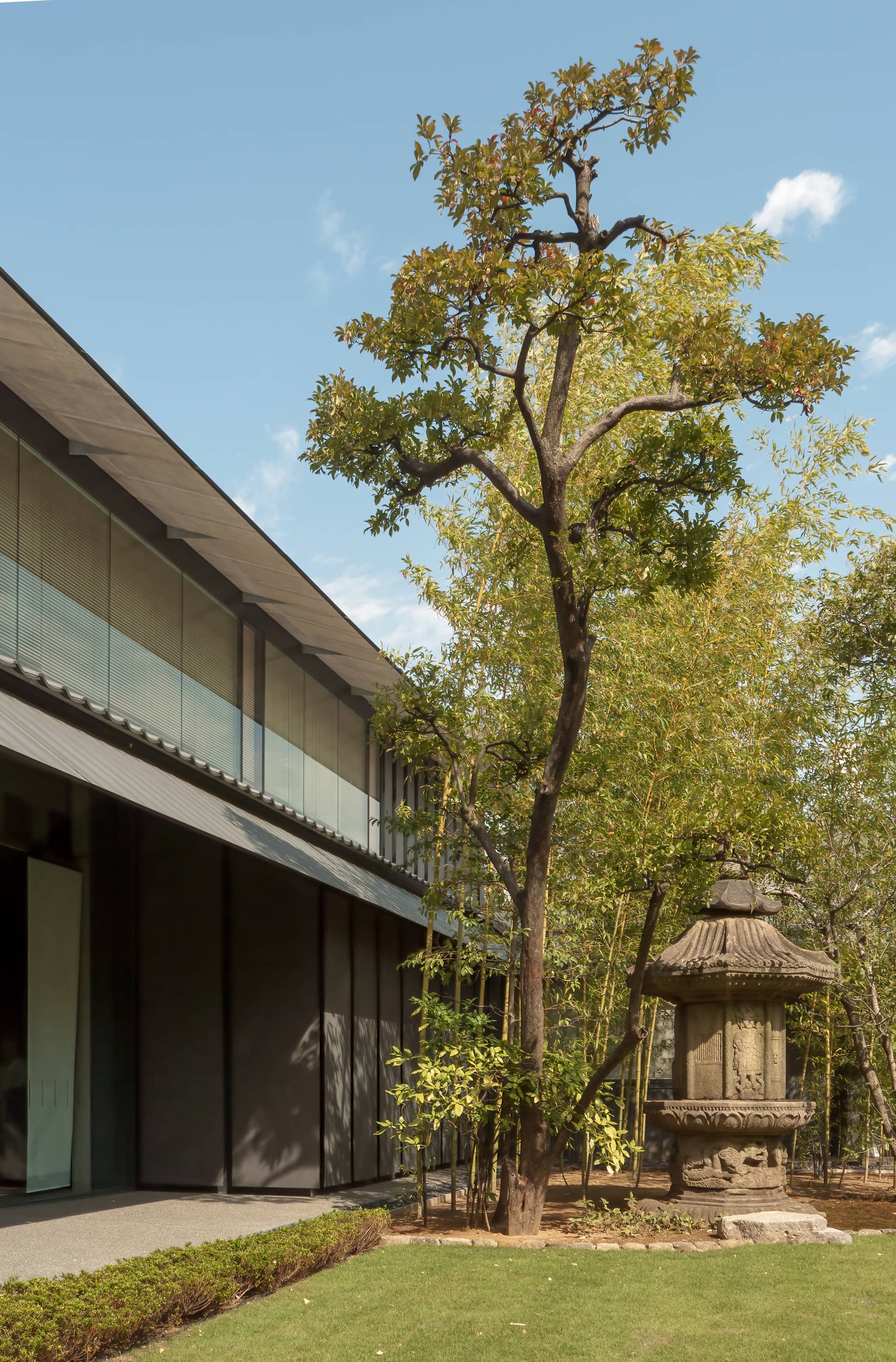 Tranquil Green Spaces