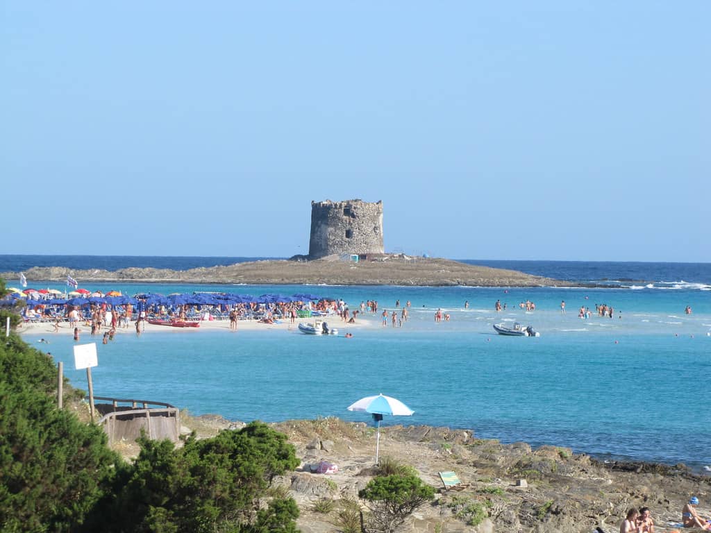 Torre della Pelosa