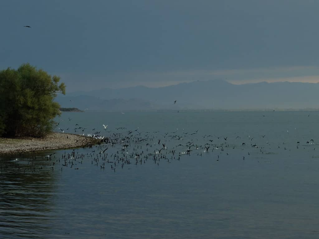 Birdwatching Paradise