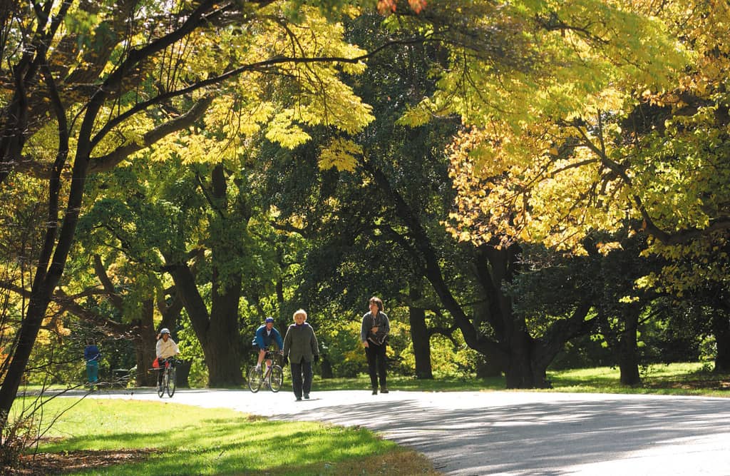 Emerald Necklace Path