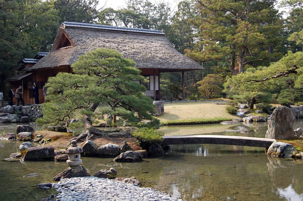 Teahouse Experience