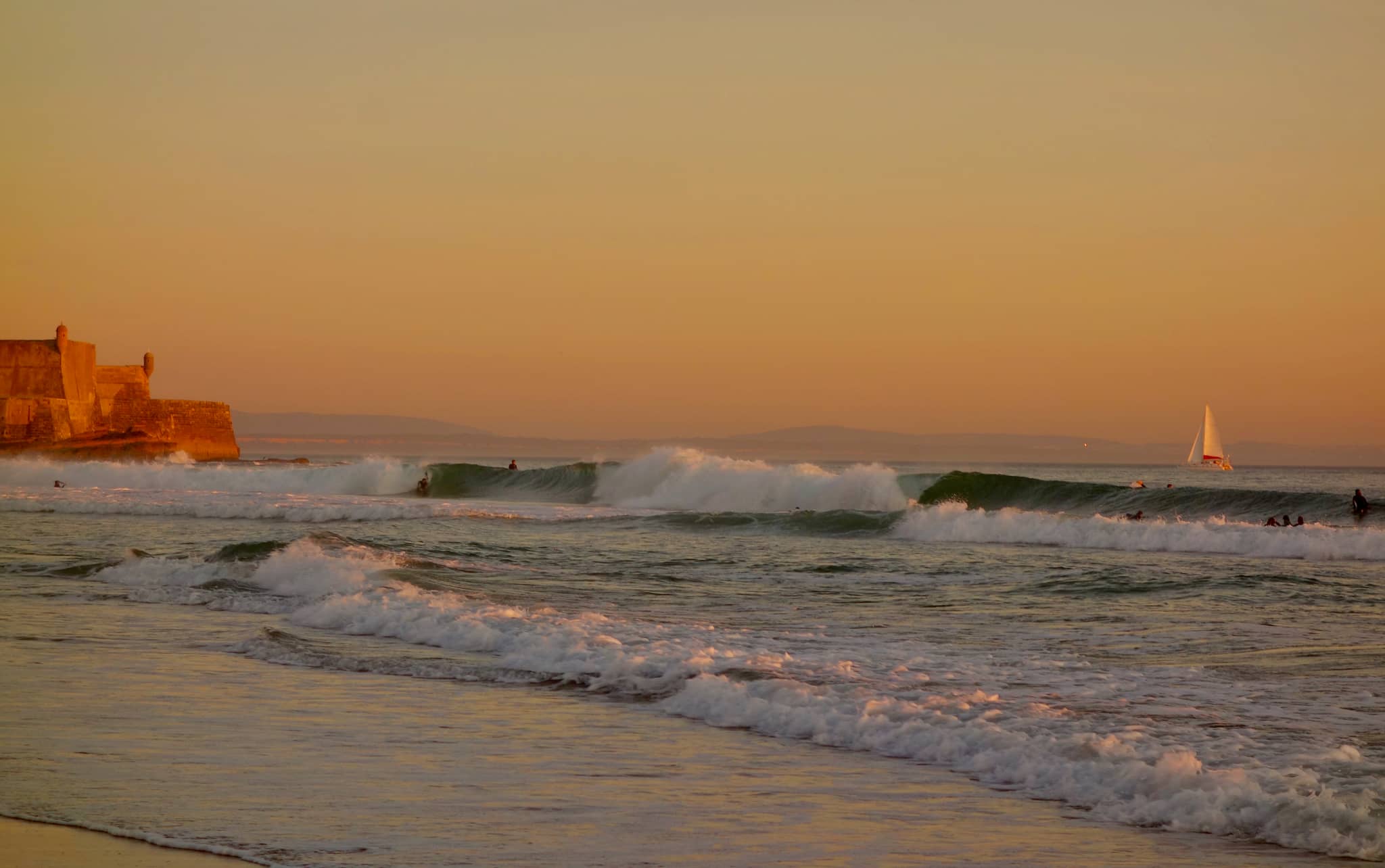 Surfer's Paradise
