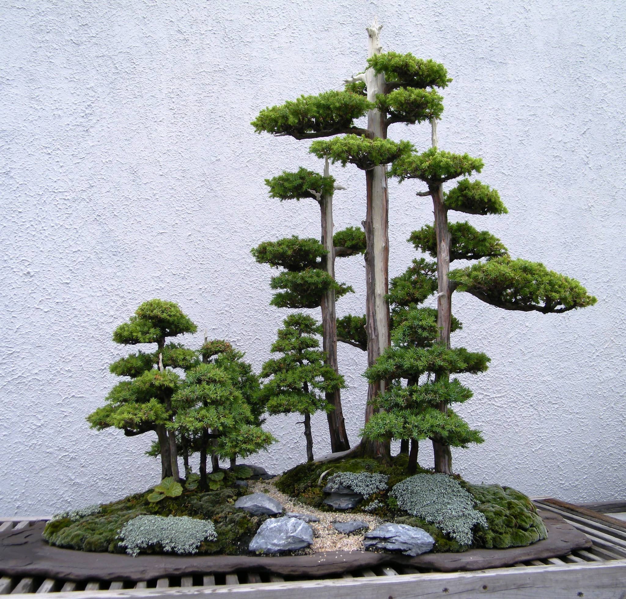 Penjing Artistry