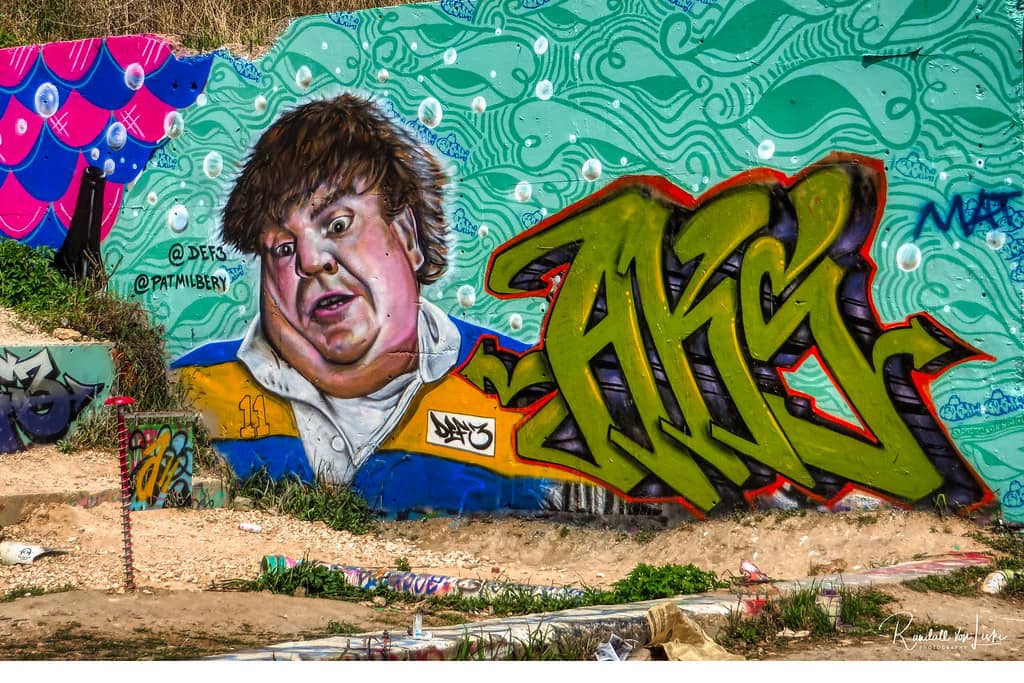 Local Artist Showcases