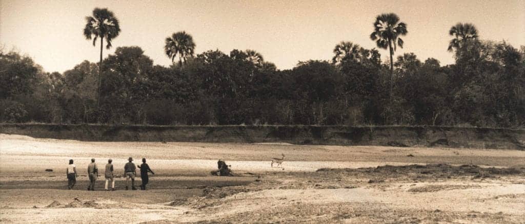 Wood Trails Adventure