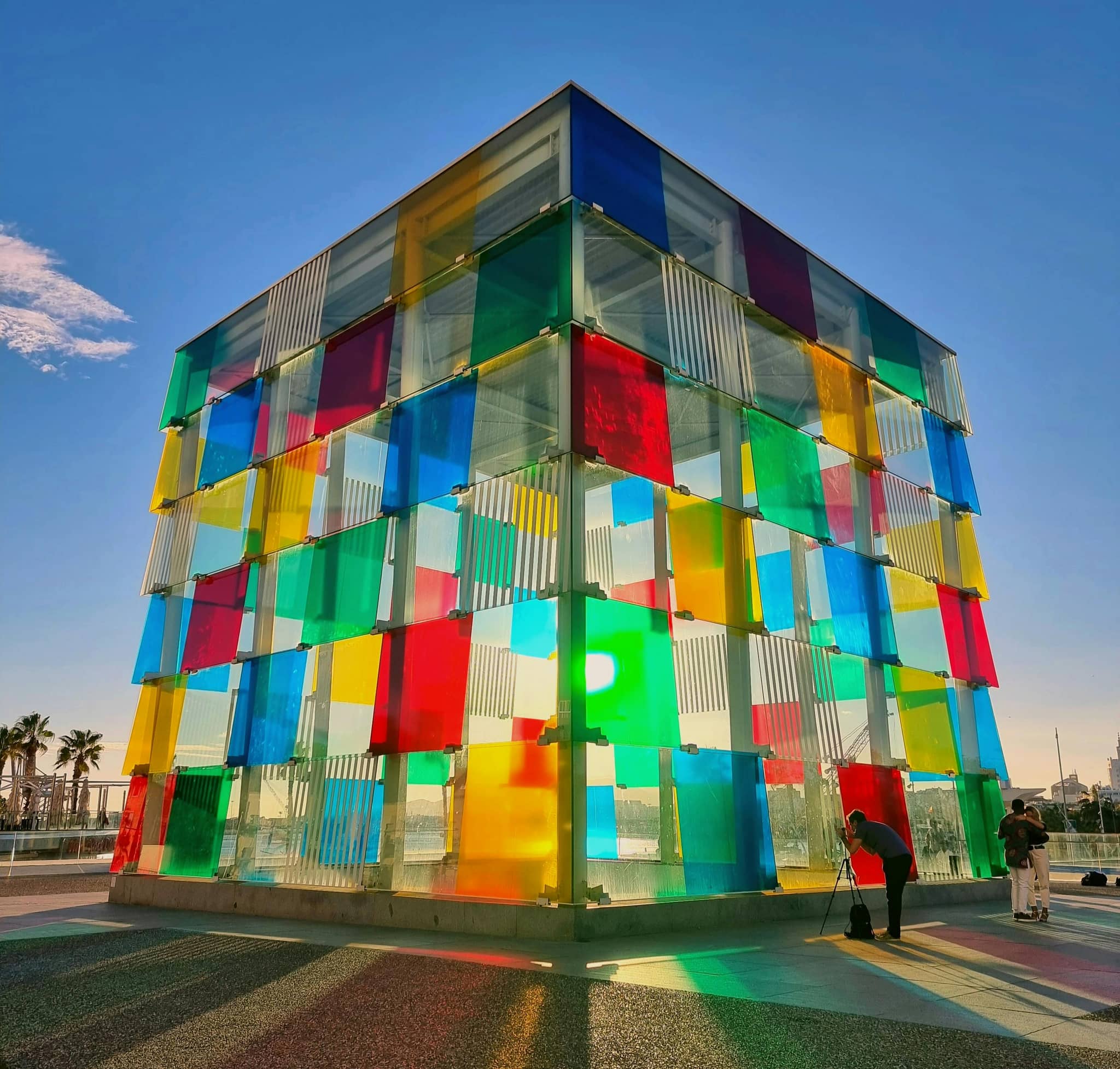 Modern & Contemporary Art Collection